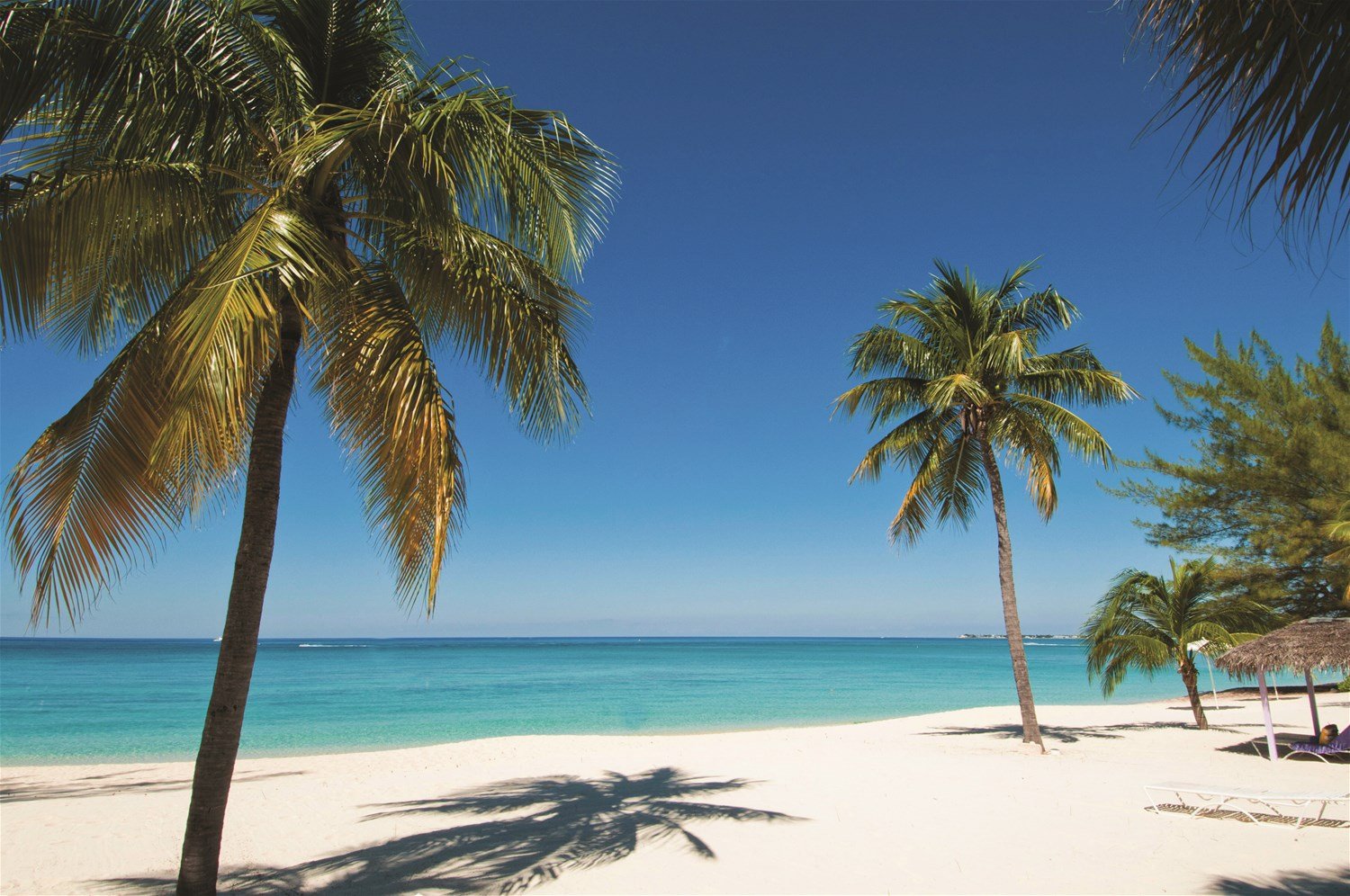 Cayman Islands Holidays 2024/2025 Trailfinders
